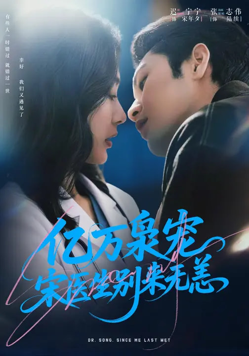 电影：亿万枭宠，宋医生别来无恙