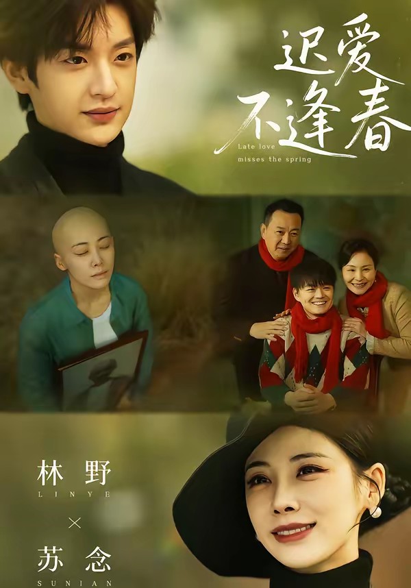 电影：迟爱不逢春