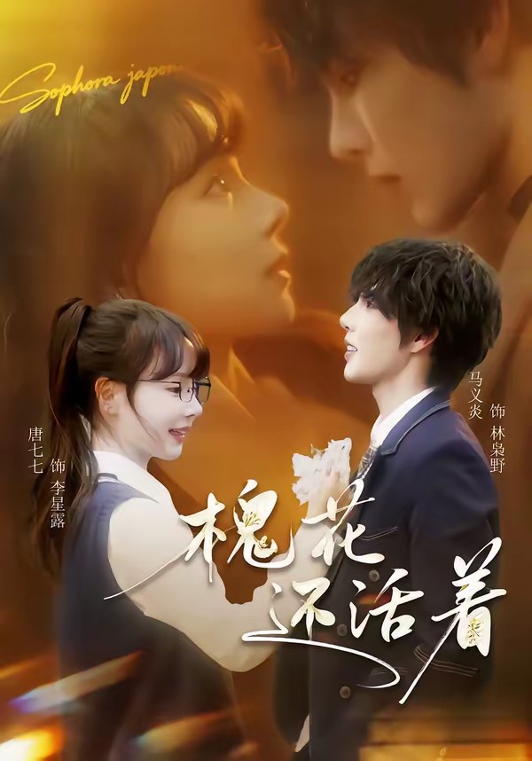 电影：槐花还活着