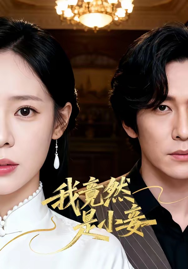 电影：我竟然是小妾