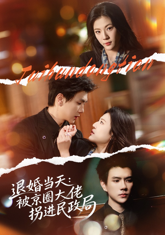电影：退婚当天：被京圈大佬拐进民政局