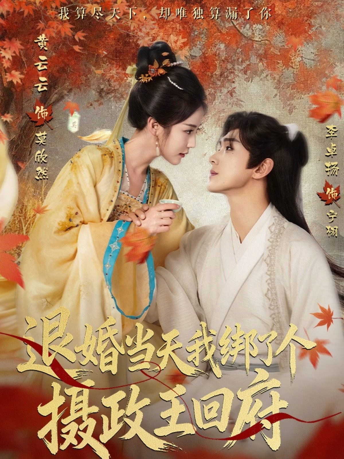 电影：退婚当天我绑了个摄政王回府