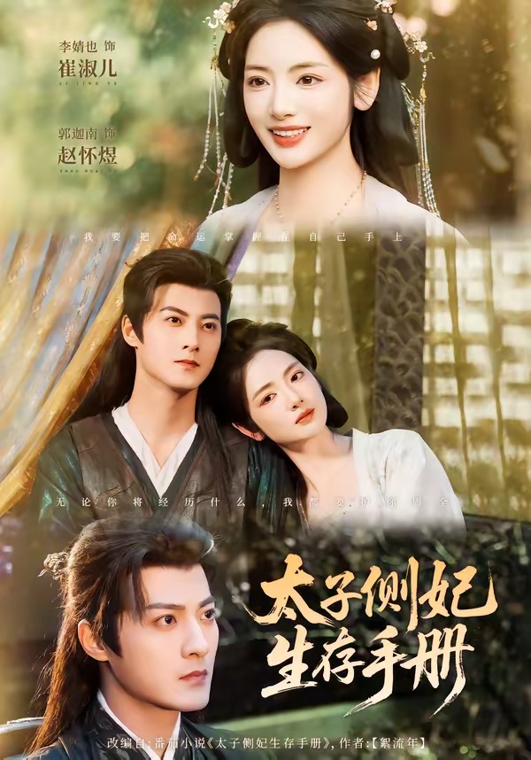 电影：太子侧妃生存手册