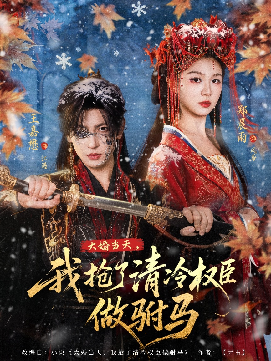 电影：大婚当天，我抢了清冷权臣做驸马