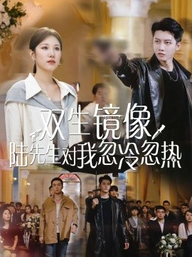 电影：双生镜像陆先生对我忽冷忽热
