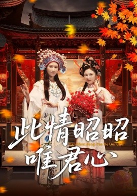 电影：此情昭昭唯君心