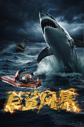 电影：巨鲨风暴