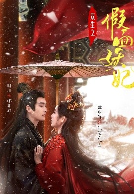 电影：双生之假面妖妃