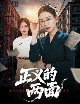 电影：正义的两面