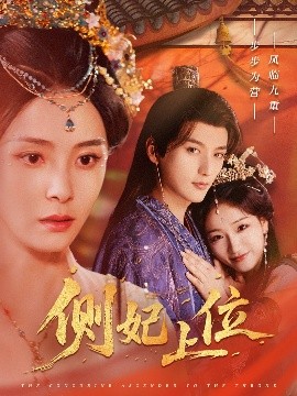 电影：侧妃上位