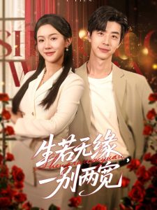 电影：生若无缘，一别两宽