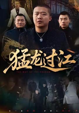 电影：猛龙过江