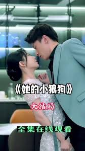 电影：她的小狼狗