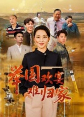 电影：举国欢宴难归家