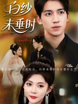 电影：老婆婚礼我当证婚人
