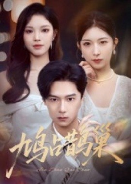 电影：鸠占鹊巢&顶流夫人的致命陷阱