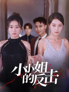 电影：小小姐的反击