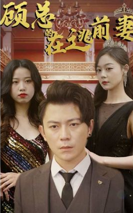 电影：顾总的在逃前妻
