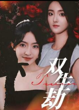 电影：双生劫短剧