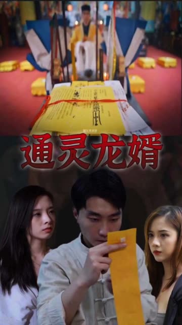 电影：通灵龙婿