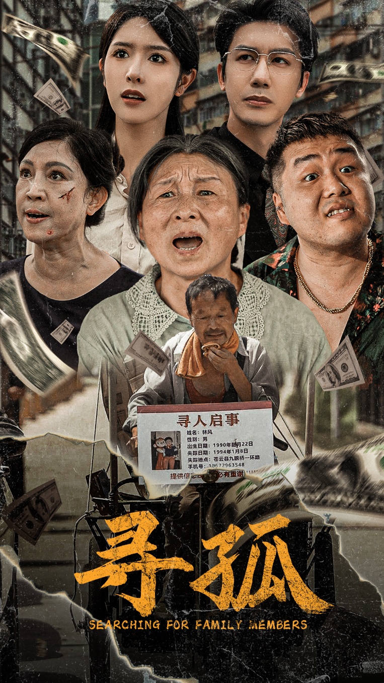 电影：寻孤短剧