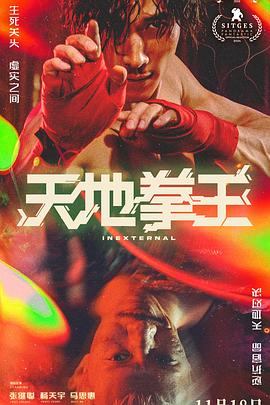 电影：天地拳王国语