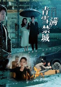 电影：青雪满禁城