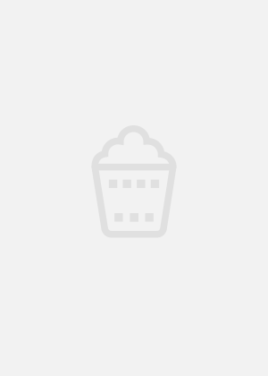 电影：刘二上访记