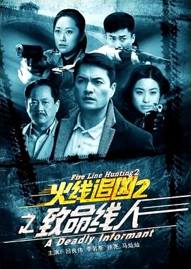 电影：火线追凶2之致命线人