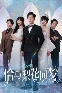 电影：恰与梨花同梦