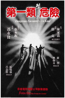 电影：第一类型危险粤语