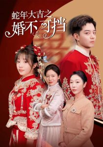 电影：蛇年大吉之婚不可挡