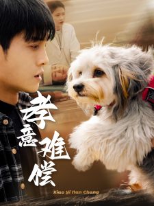 电影：孝意难偿