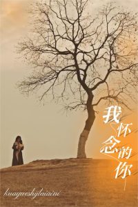 电影：我怀念的你