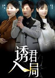 电影：诱君入局