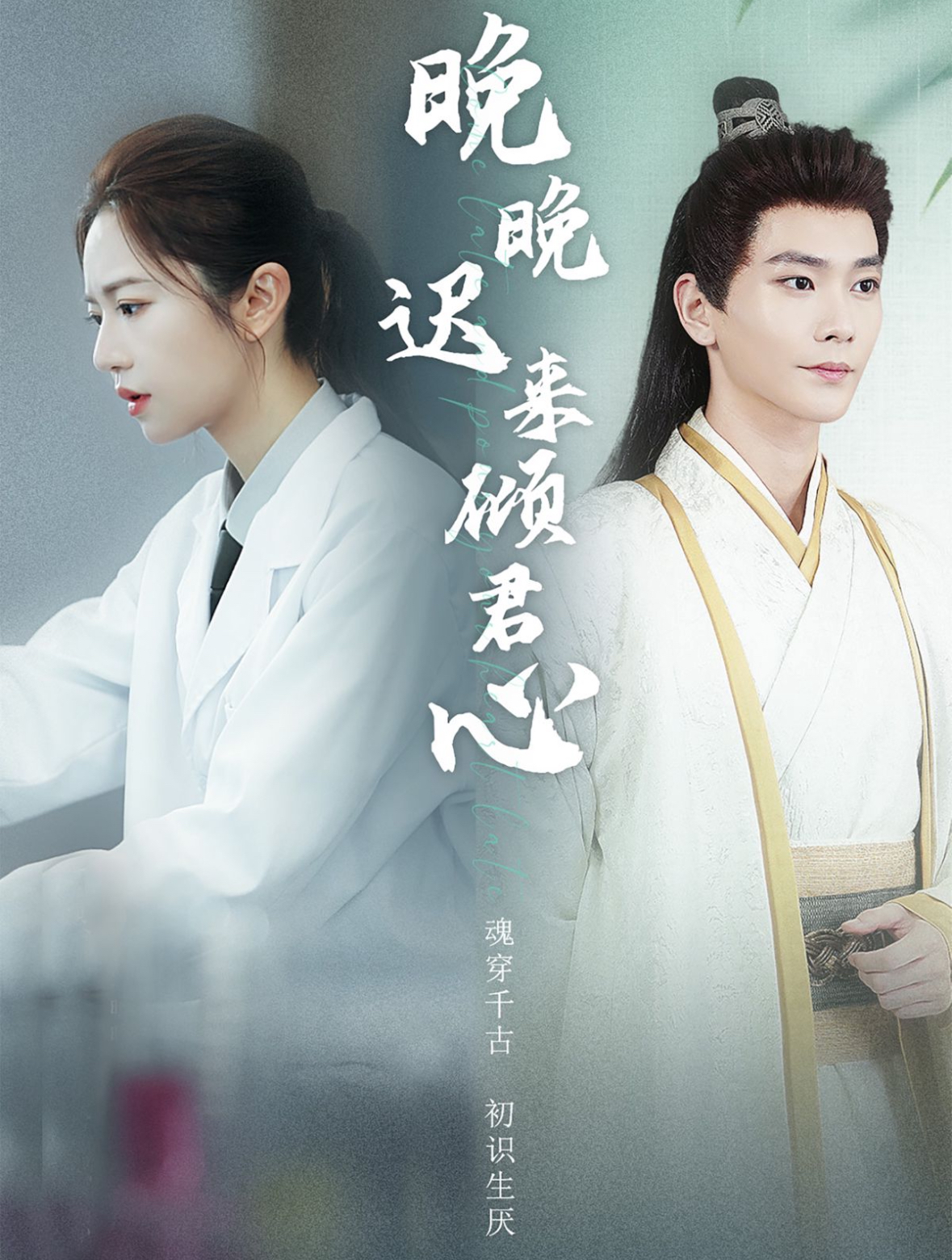 电影：晚晚迟来倾君心