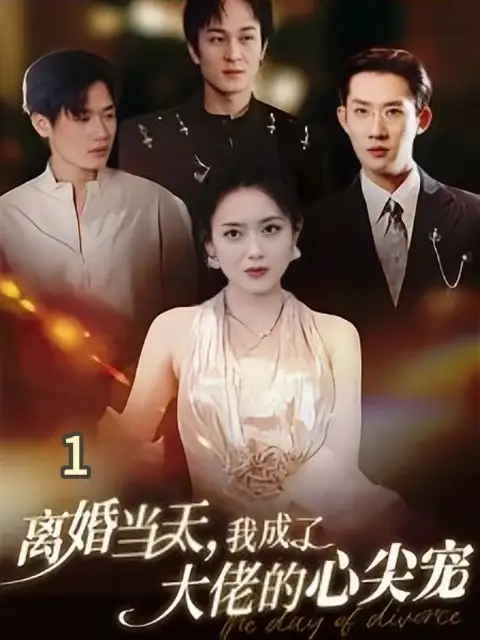 电影：离婚当天我成了大佬的心尖宠