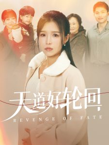 电影：天道好轮回
