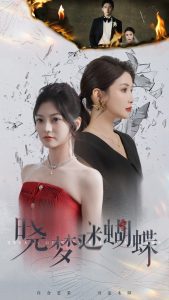 电影：晓梦迷蝴蝶