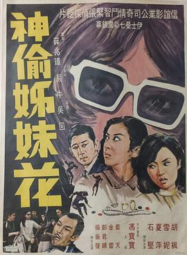 电影：神偷姊妹花粤语