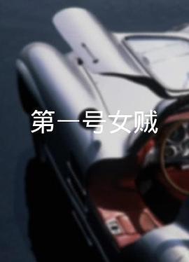 电影：第一号女贼粤语