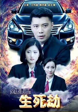 电影：金牌律师之生死劫