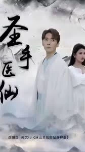 电影：圣手医仙