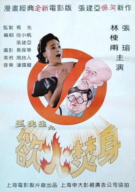电影：王先生之欲火焚身