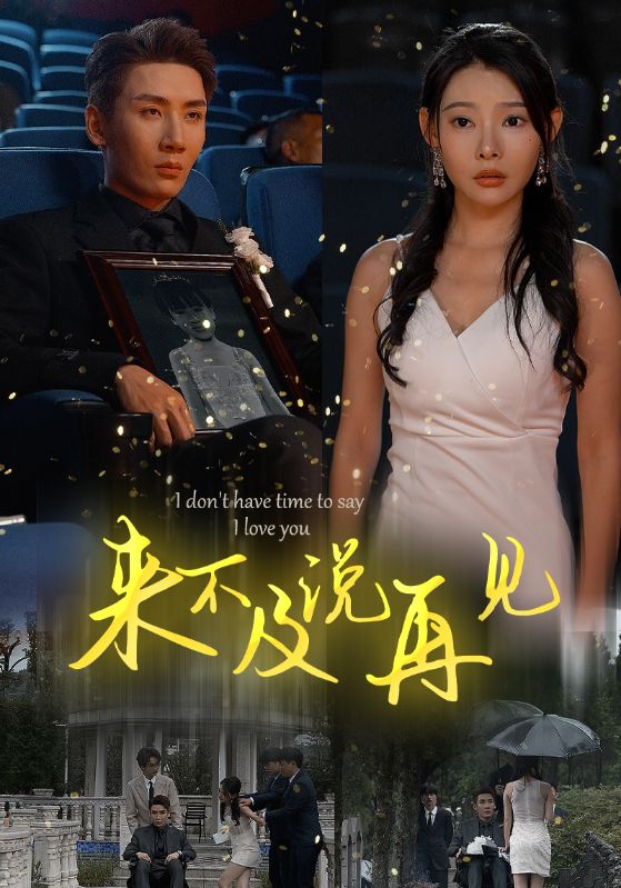 电影：来不及说再见