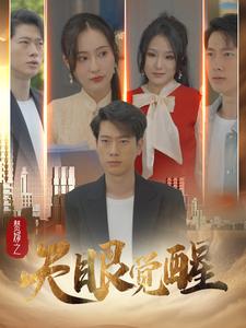 电影：赘婿之天眼觉醒