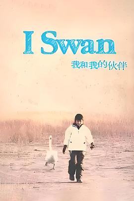 电影：我和我的伙伴