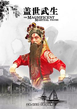 电影：盖世武生