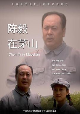 电影：陈毅在茅山