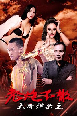 电影：大哥归来之老炮不散